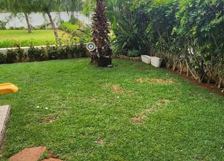 2600 m2 zone villa à californie 12500 m2 