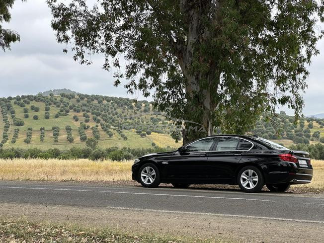 bmw 520d  modèle 06/2013