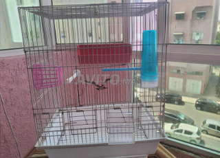 قفص مازال نقي اربع وكلت و اكسيسوار