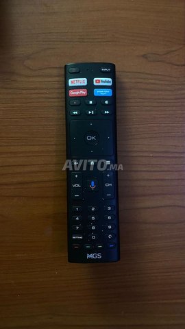 SMART TV MGS