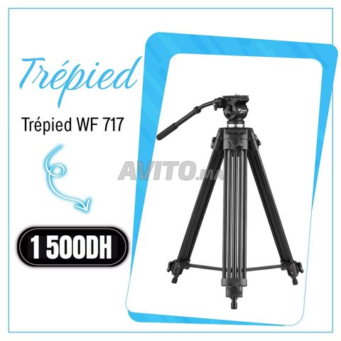  TREPIED WF 717