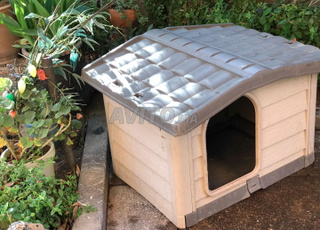 Maison de chien / Dog house 