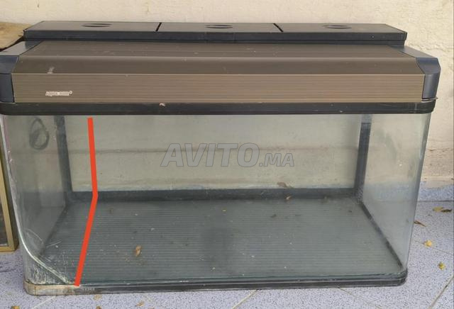 je vends 2 aquariums avec plusieurs equipements