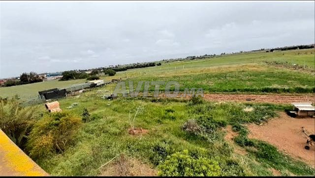 terrain à vendre Oulad Azouz dar bouazza - 2