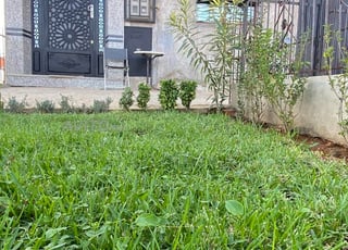 Maison  à vendre très bonnes occasion