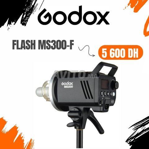 FLASH MS300-F