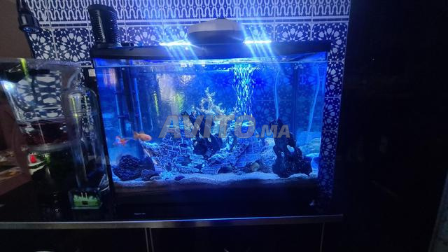 aquarium 60/40/30 كواريوم حوض سمك - 2