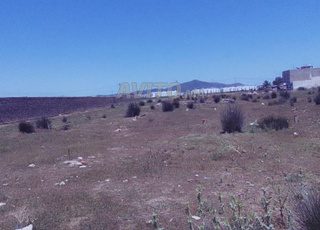 terrain   a vendre pour construction immeuble