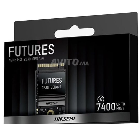 SSD NVMe 2TB Hiksemi Future STD M.2