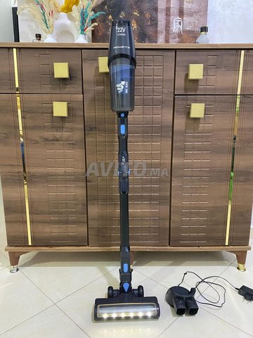 aspirateur balai sans fil Rowenta Flex