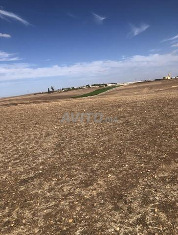 أراضي للبيع و للسكن بسيدي حجاج سطات للبيع