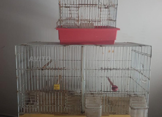 02 cages a vendre 