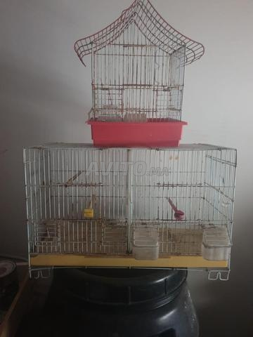02 cages a vendre 
