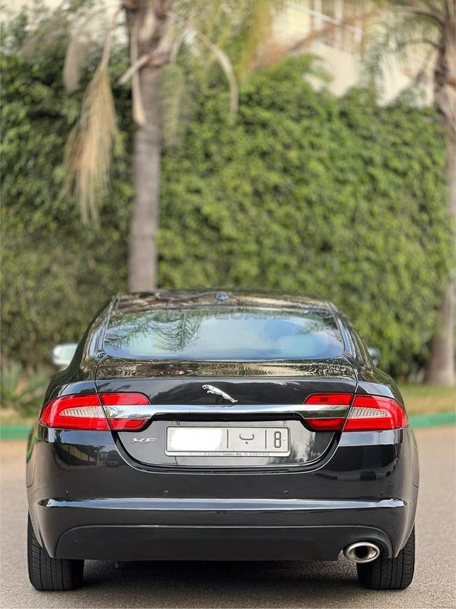 JAGUAR XF  modèle 2013  