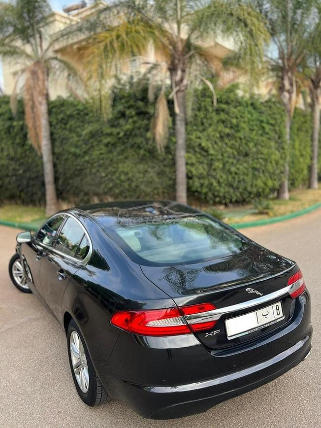JAGUAR XF  modèle 2013  
