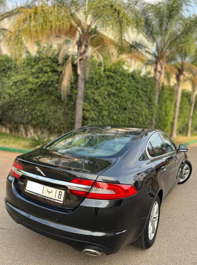 JAGUAR XF  modèle 2013  