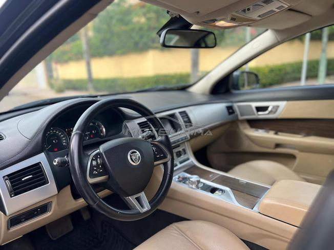 JAGUAR XF  modèle 2013  