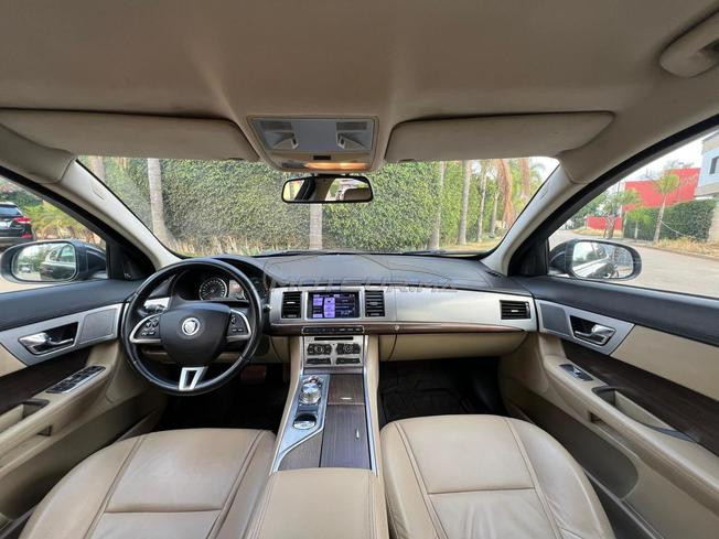 JAGUAR XF  modèle 2013  