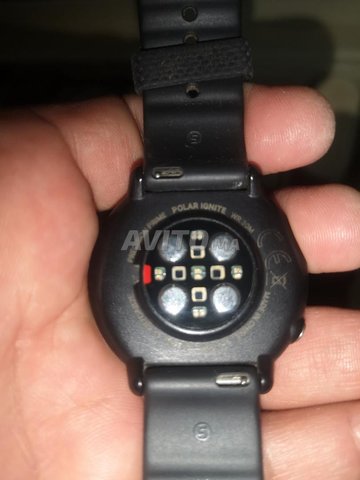 polar ignite 