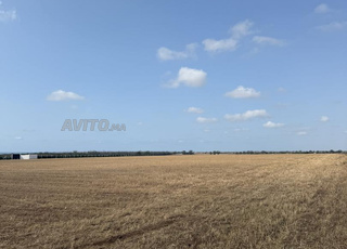 Un hectare titré meilleur Et unique emplacement 