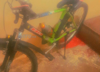 بيرجديد مرحبا 