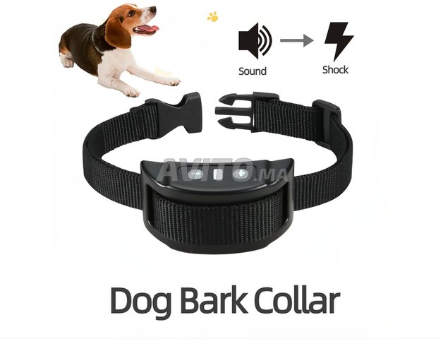 collier intelligent pour chien / choc électrique