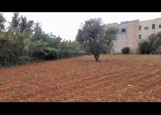 Terrain à Sefrou