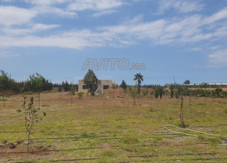 البئرالجديد 