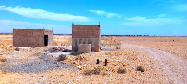 12 هكتار فلاحية  نواحي مراكش طريق وطنية 8 لمزوضية