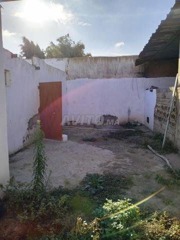 دار في المجذبة فيه 210 دار مسقفة  والباقي إسطبل  