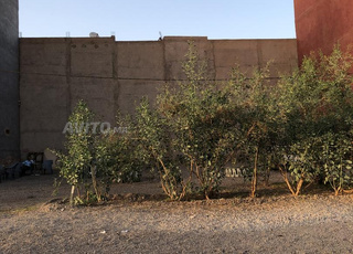 Terrain pour Immeuble 2 étages avec Commerce