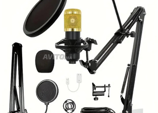 Microphone bm-800