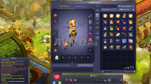 Dofus Kama