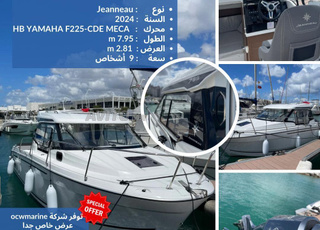 Merry Fisher 795  État neuf 