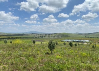 Terrain Titré  أربعاء عياشة - أرض محفظة 2.4 هكتار