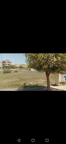 terrain titré à vendre Sidi hrazem  - 2