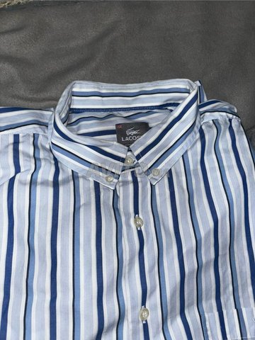 chemise lacoste 