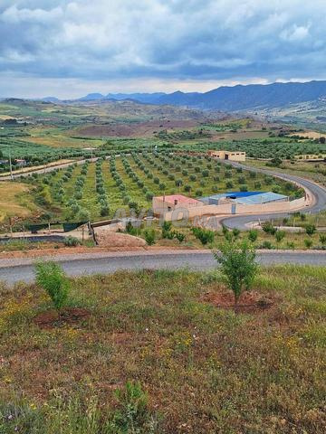 Ferme agricole et autorisée pour investissement dans un emplacement stratégique