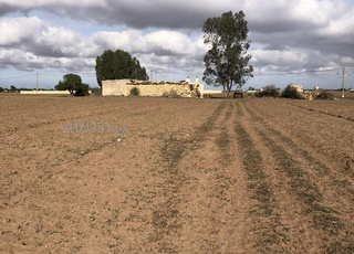 الدار البيضاء