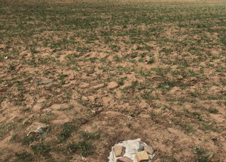 البير الجديد الغديرة