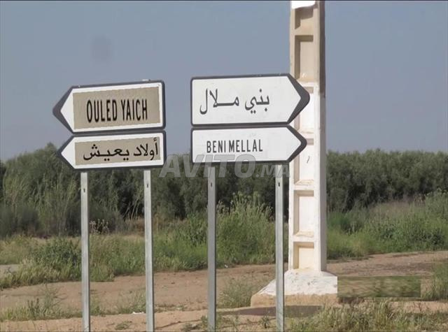 A vendre Ferme à Oulad Yaich Beni Mellal - 2