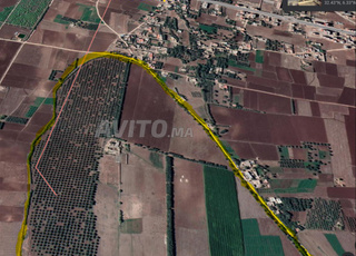 A vendre Ferme à Oulad Yaich Beni Mellal