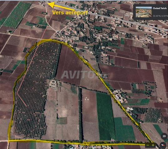 A vendre Ferme à Oulad Yaich Beni Mellal