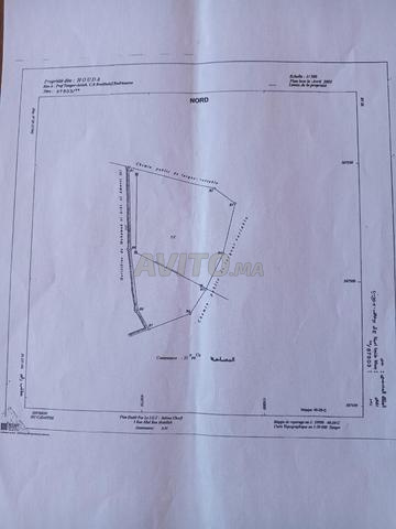 terrain à vendre badrioune