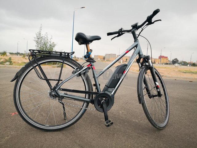 vélo électrique pegasus batterie bosch Deutschland