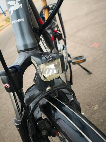 vélo électrique pegasus batterie bosch Deutschland - 2