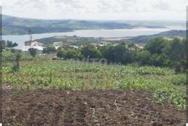 Terrain à vendre avec vue sur le barrage 2500 mètres