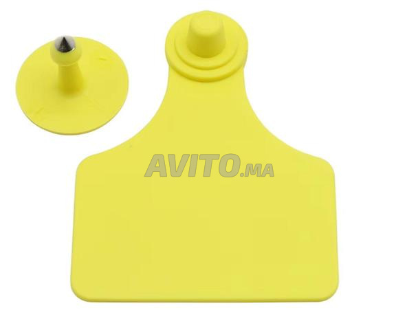 Étiquette d'oreille pour bovins