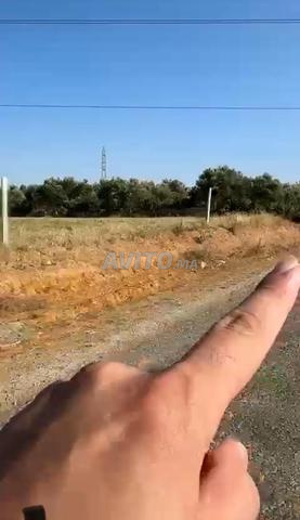 ارض 5000متر محفضة 3كم من مدينة على طريق