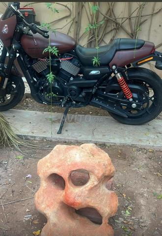 Harley street rod 750 Ww maroc Model2020 - 2